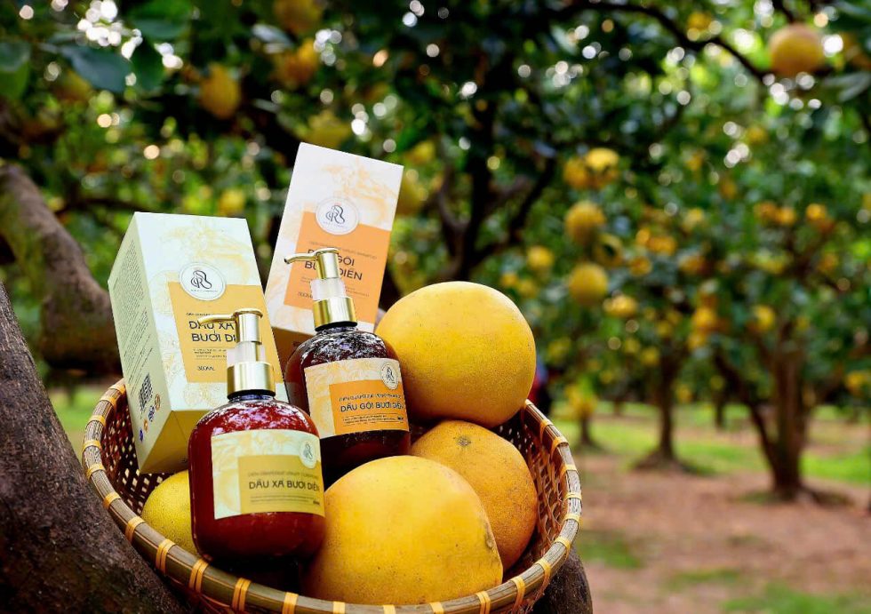 Dầu gội, xả bưởi diễn HTX HNX